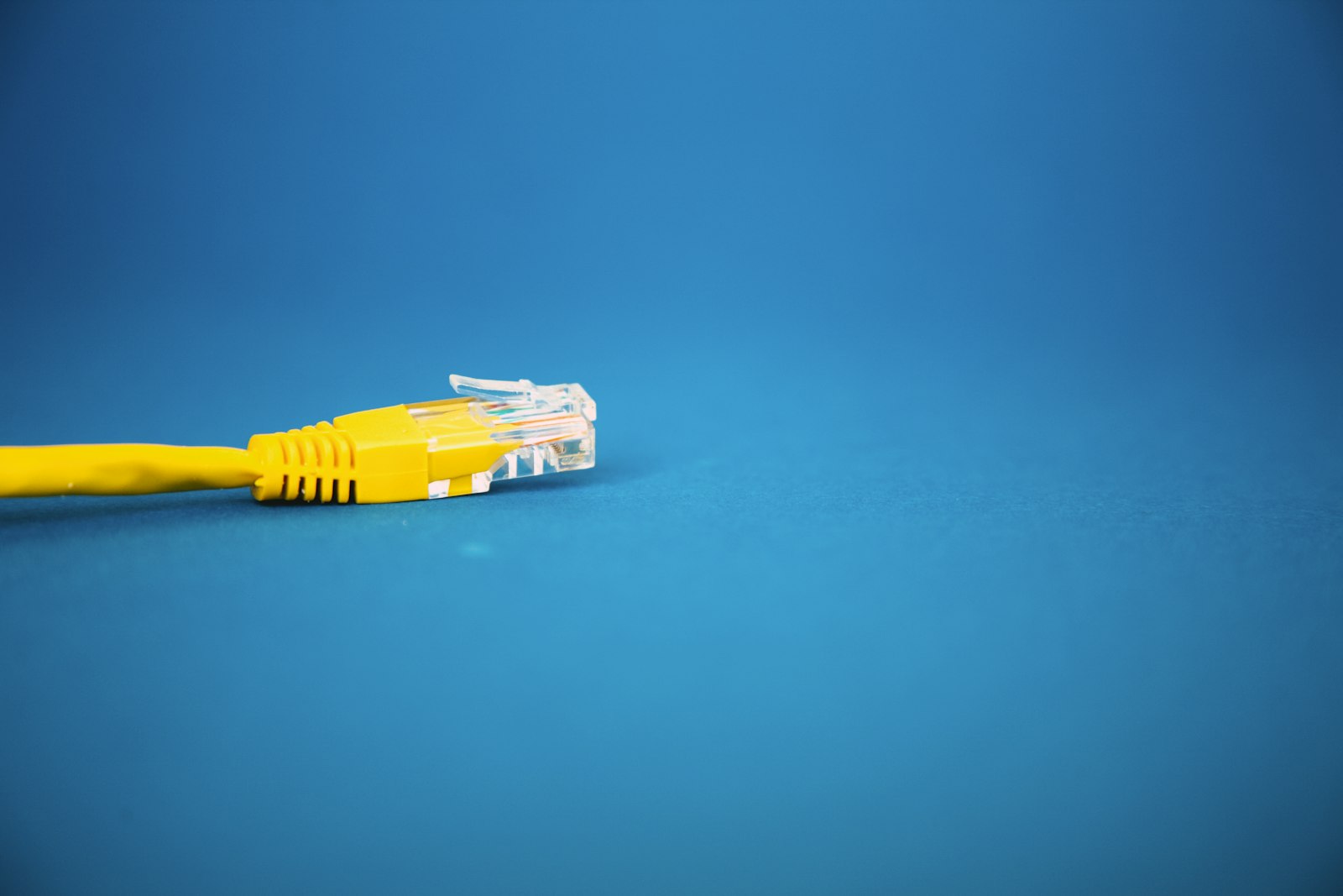 A yellow network cable on a blue background